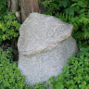 Meet your Posher, Janelle